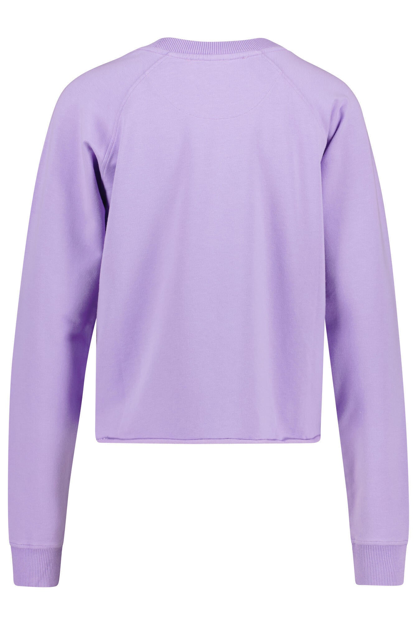 Sweatshirt - 1218 Lilac - Violett