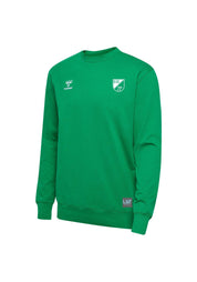 Kinder SV Eversburg Sweatshirt - 6235-Jelly Bean - Grün