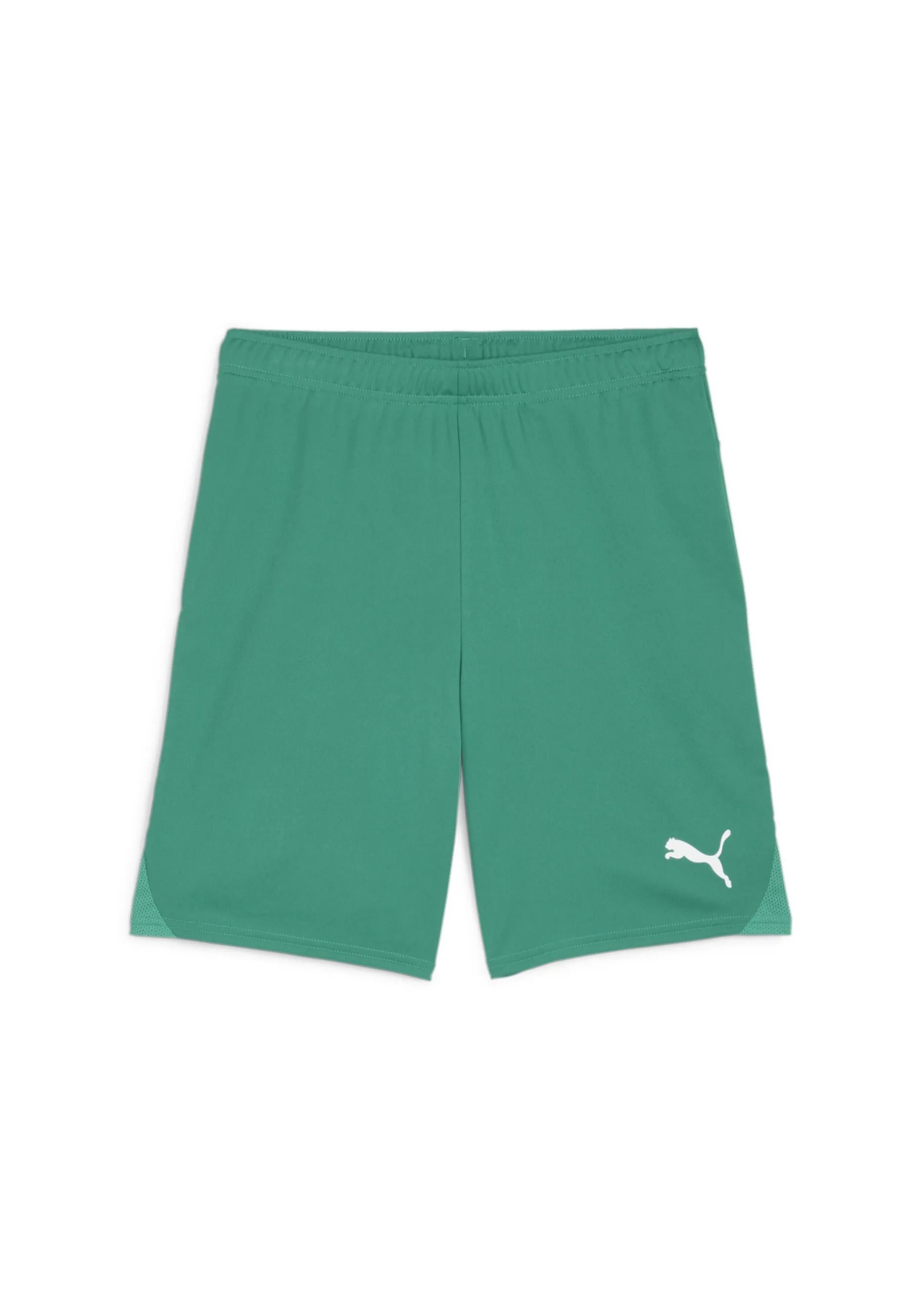 Kinder VFR Voxtrup Shorts - 005-Sport Green-PUMA White - Grün