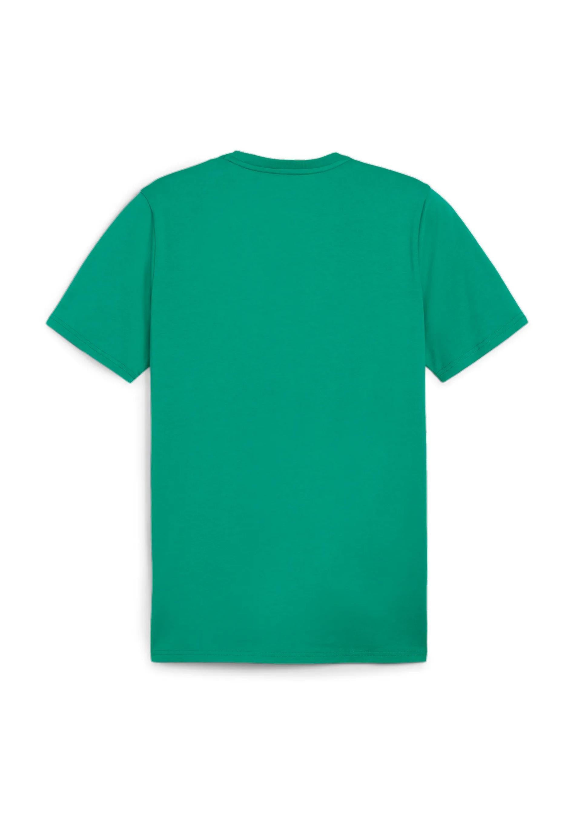 Herren VFR Voxtrup Fanshirt Voxtrup - 005-SPORT GREEN-PUMA WHITE - Grün