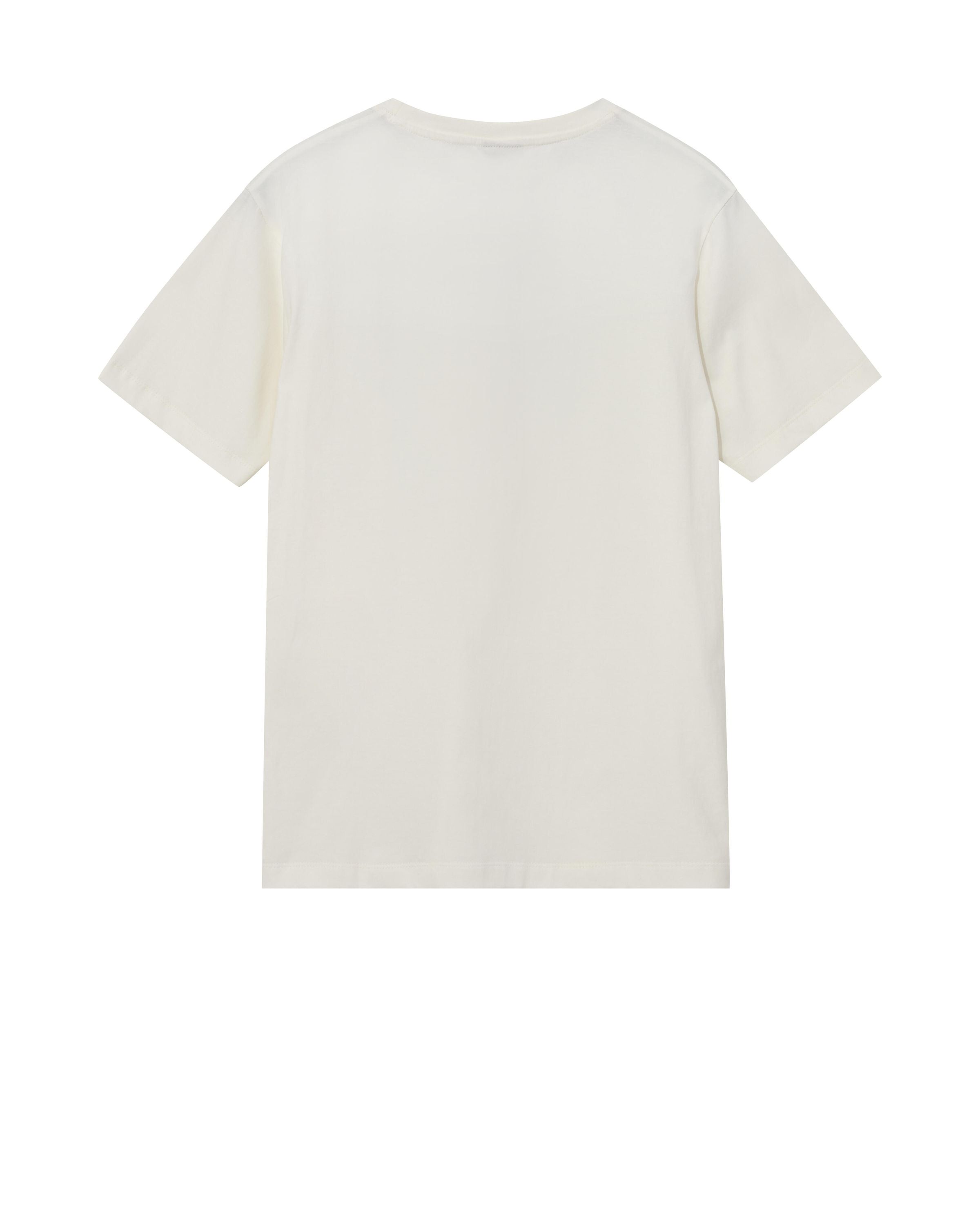 T-Shirt RIVER SUN aus Baumwolle - 952 Foss Green - Braun