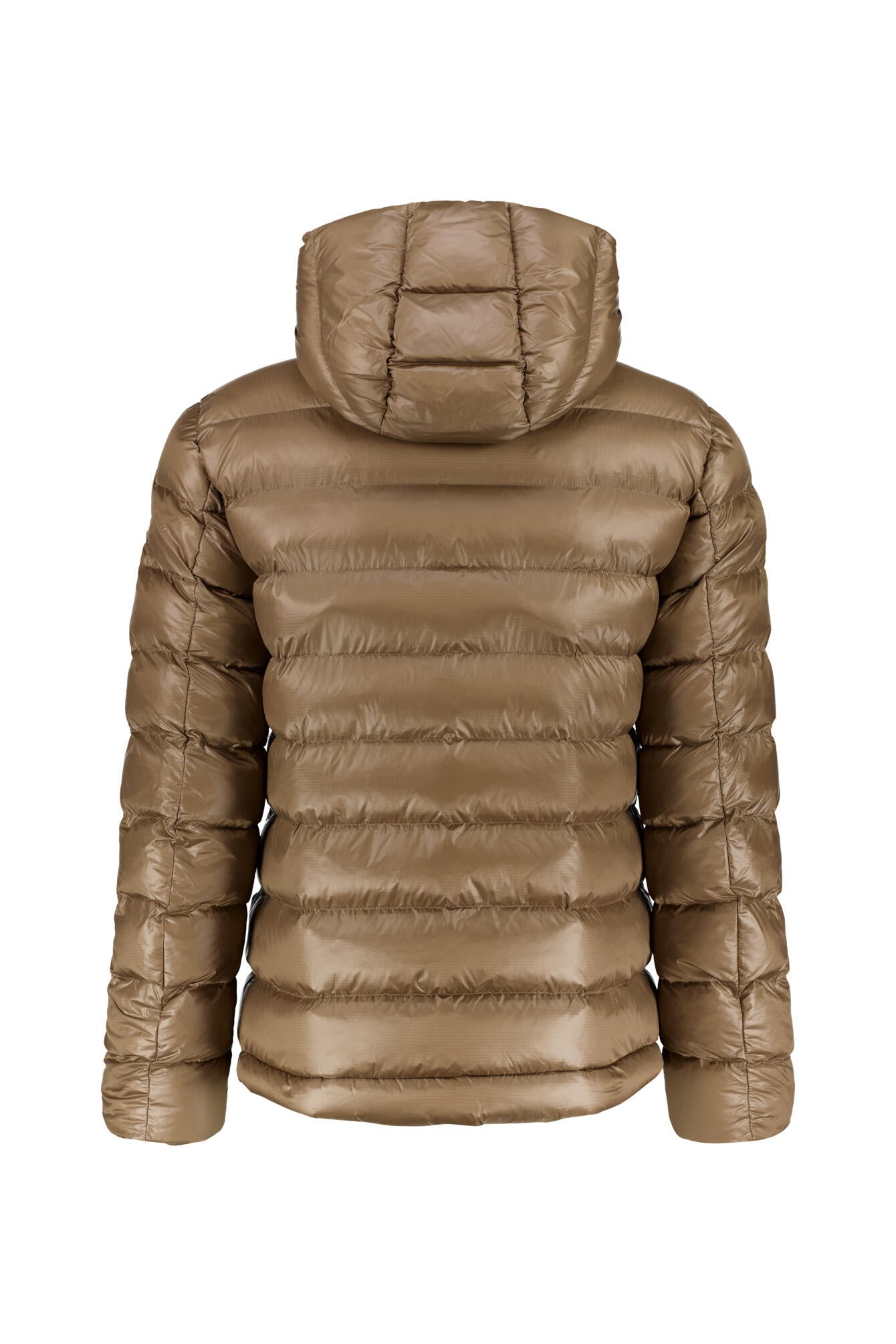Steppjacke ADAMS - 341 - Beige