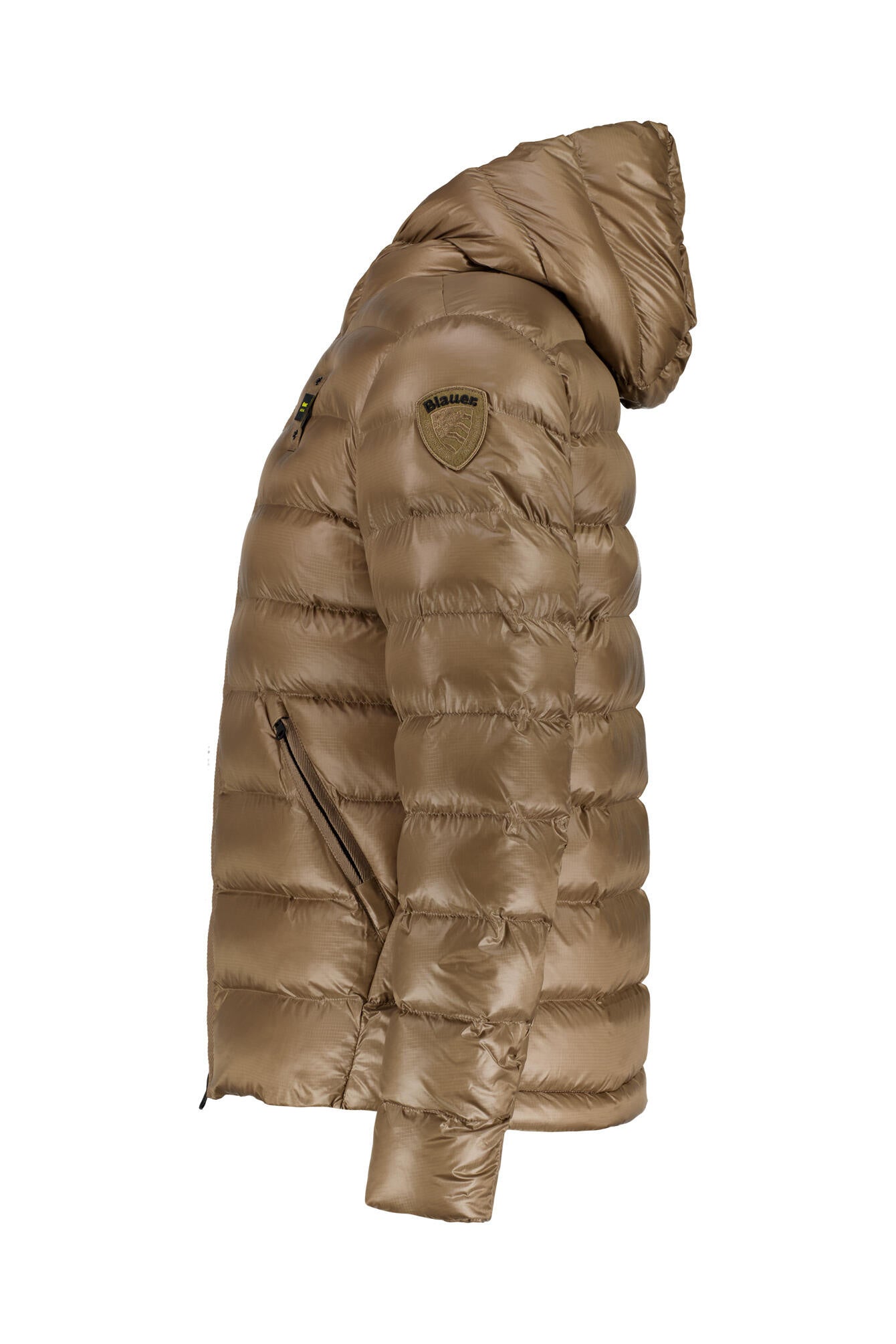 Steppjacke ADAMS - 341 - Beige