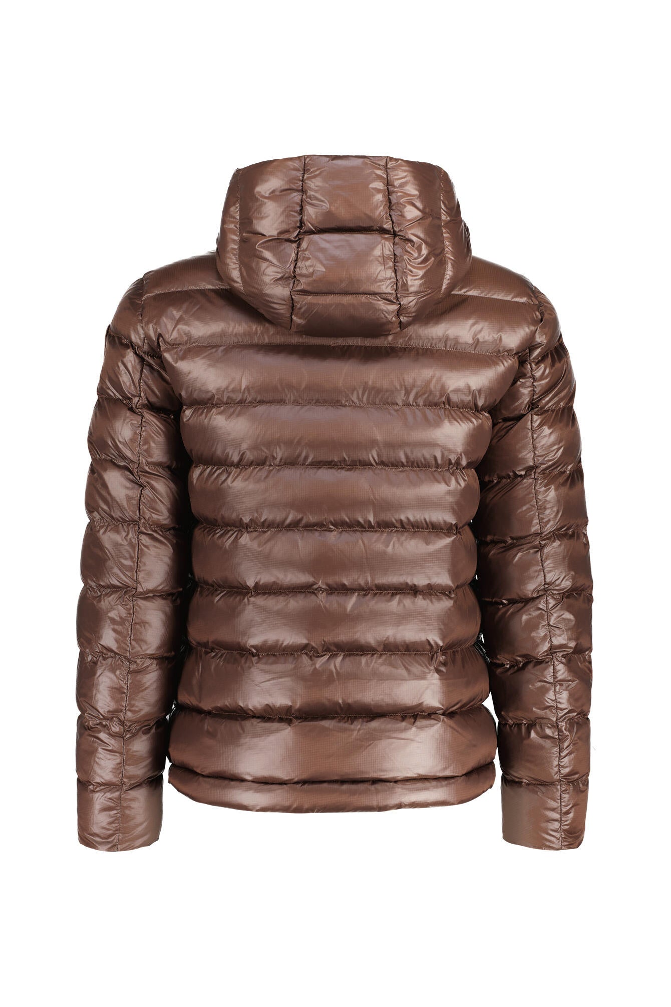 Steppjacke ADAMS - 365 - Braun