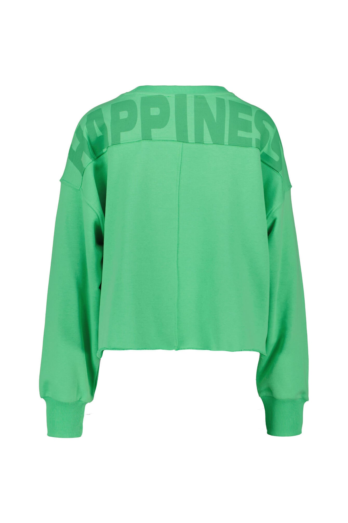 Sweatshirt Oversized Fit - 10813 Applegreen - Grün