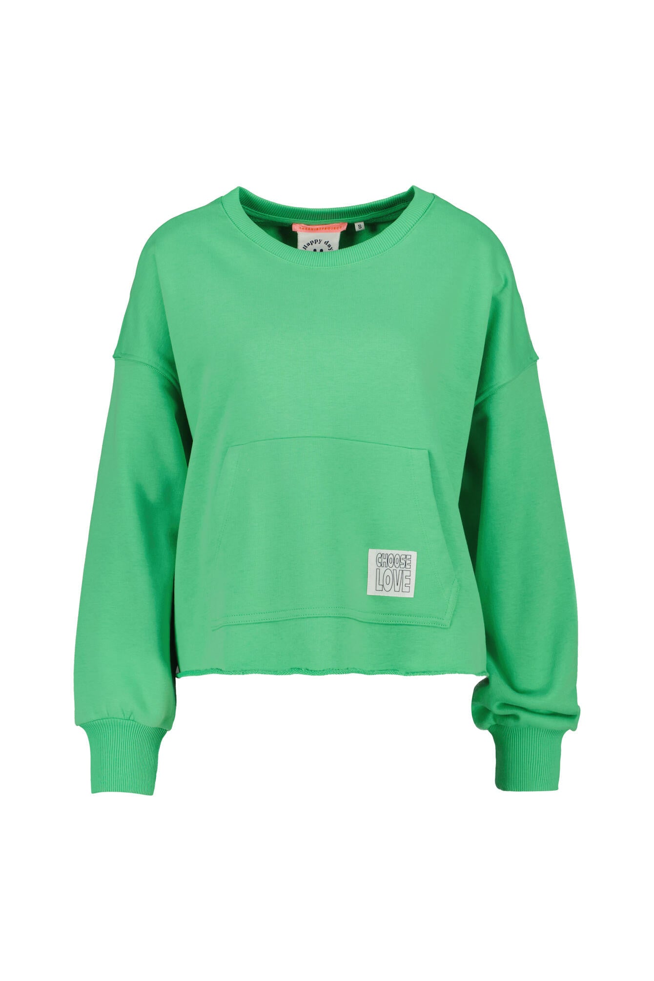 Sweatshirt Oversized Fit - 10813 Applegreen - Grün