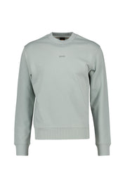 Sweatshirt aus Baumwolle - 043-Silver - Grün