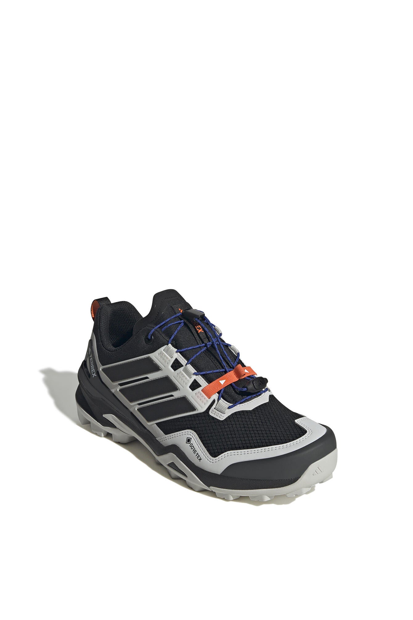 Wanderschuhe TERREX SKYCHASER GTX - CBLACK/CBLACK/GREONE - Grau