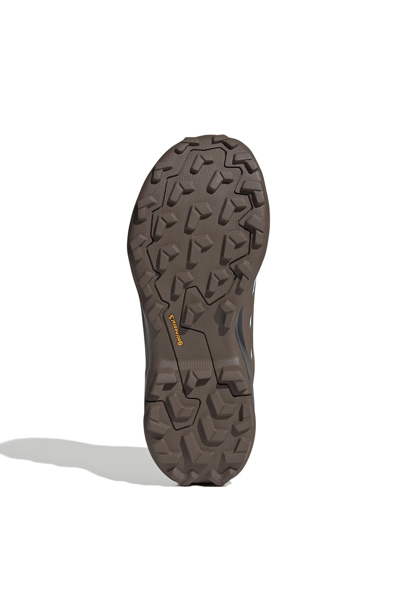 Wanderschuhe TERREX SKYCHASER AX5 GTX - TRABRN/EARSTR/SEIMOR - Braun