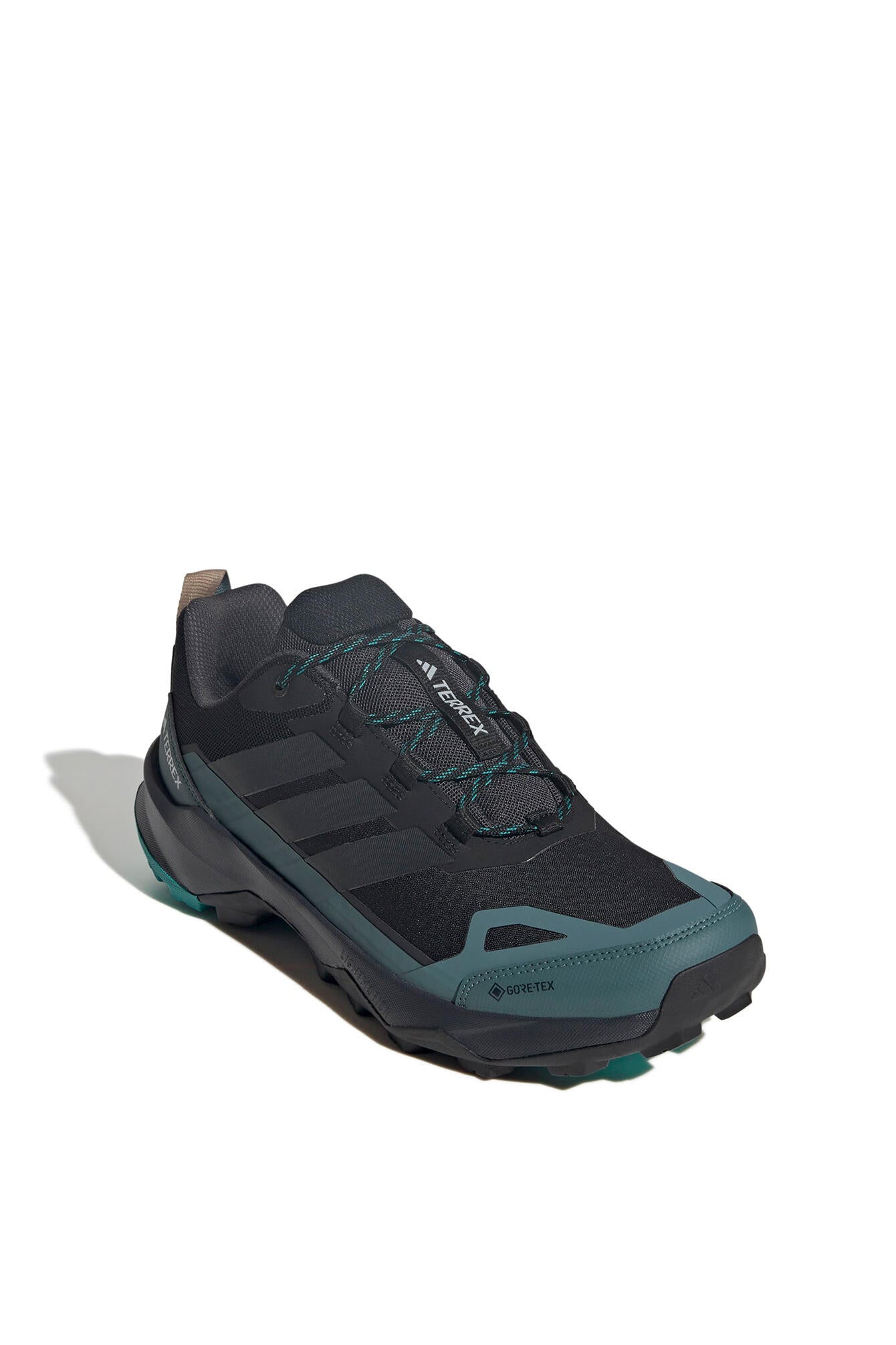 Wanderschuhe TERREX SKYCHASER AX5 GTX - CBLACK/CARBON/PURTEA - Grün