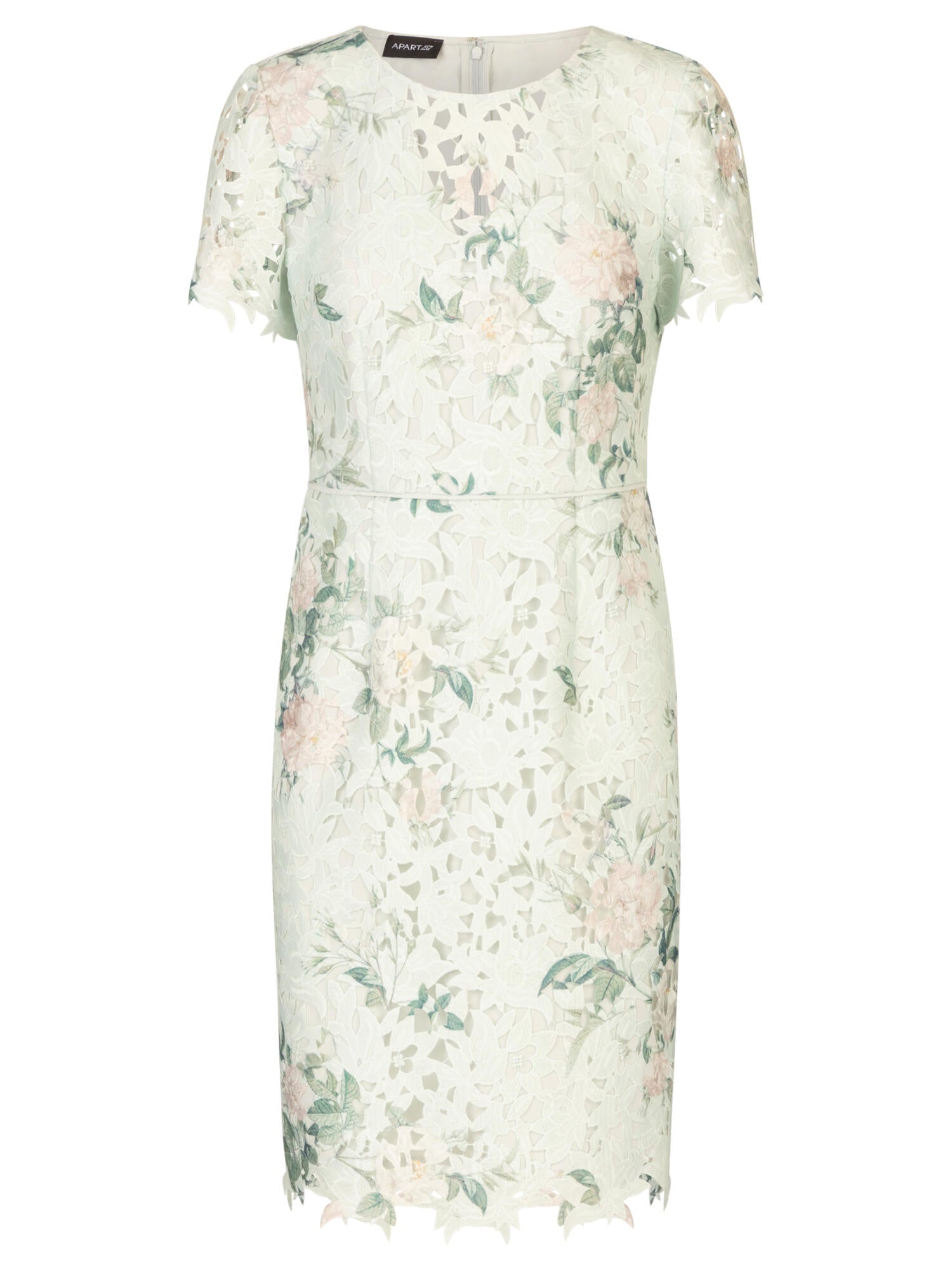 Cocktailkleid aus Spitze - jade-multicolor - Grün