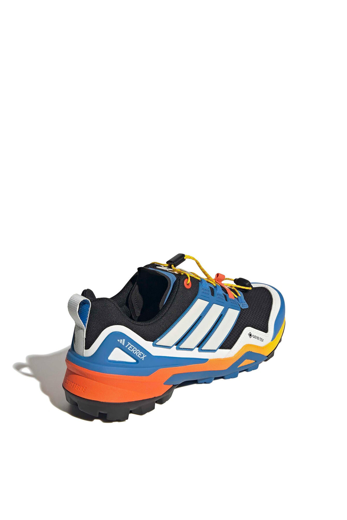 Wanderschuhe TERREX SKYCHASER GTX - CBLACK/RAYBLU/CBLACK - Blau