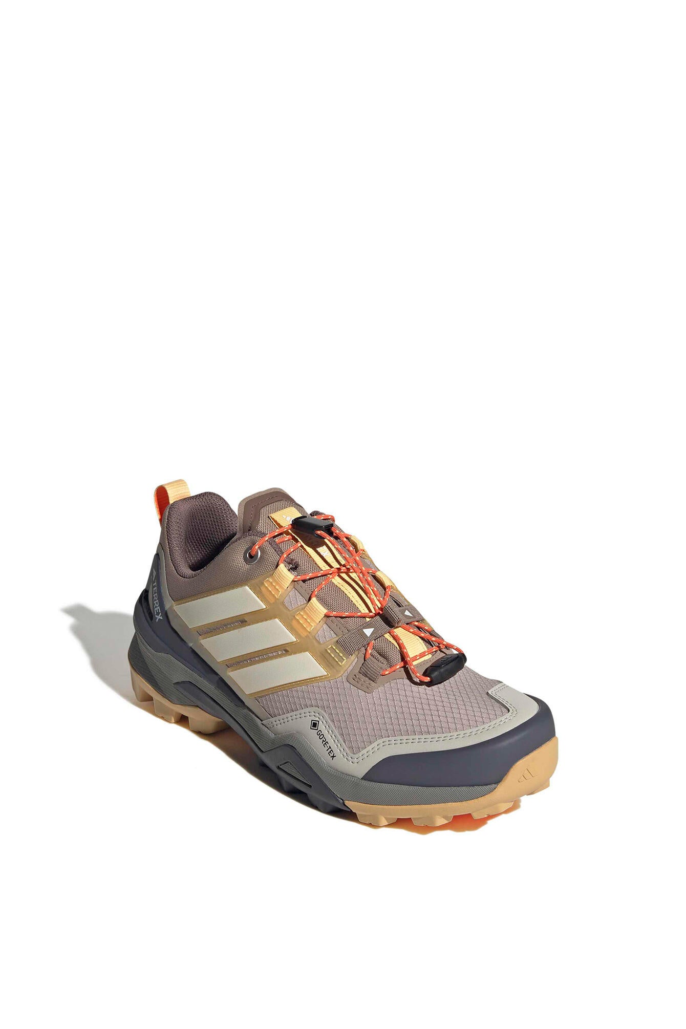 Wanderschuhe TERREX SKYCHASER GTX - WONTAU/OWHITE/ICTA - Beige