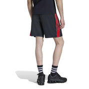 Funktionsshorts TEAMGEIST Regular Fit - BLACK - Schwarz