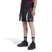Funktionsshorts TEAMGEIST Regular Fit - BLACK - Schwarz