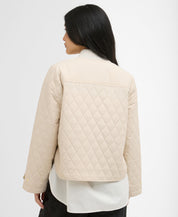 Steppjacke WHILLAN - CR11-Jasmine - Beige