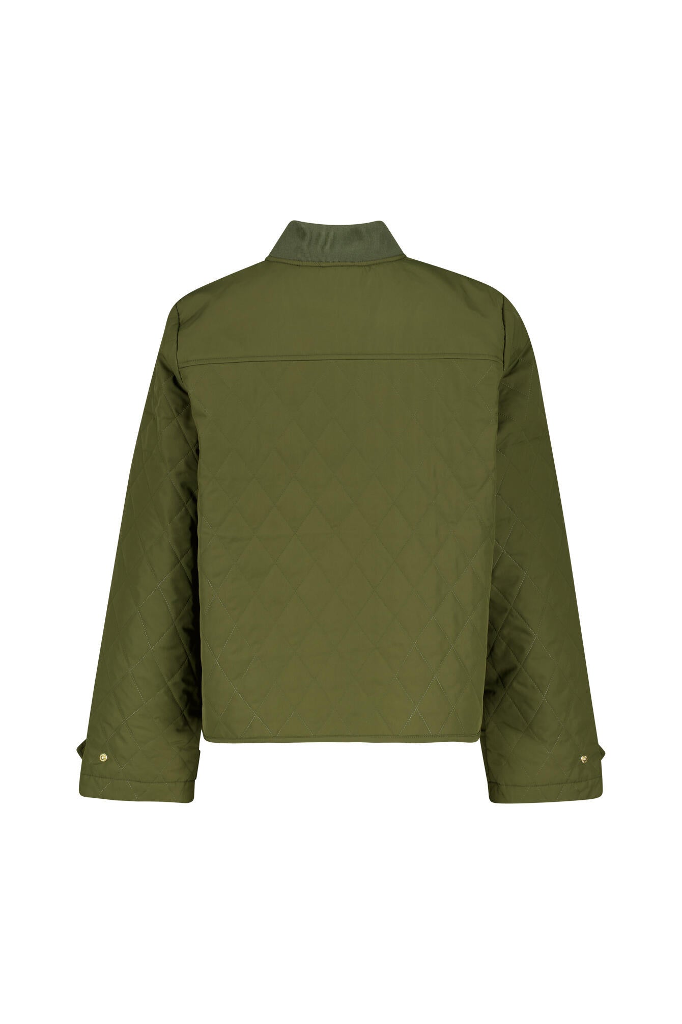 Steppjacke WHILLAN - GN93-Ivy Gre - Grün