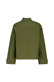 Steppjacke WHILLAN - GN93-Ivy Gre - Grün