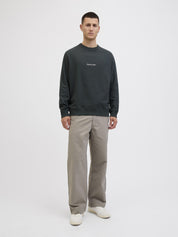 Sweatshirt aus Baumwolle - Forest River - Grau