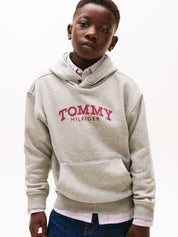 Sweathoodie aus Baumwollmix - A1G-GREY - Grau