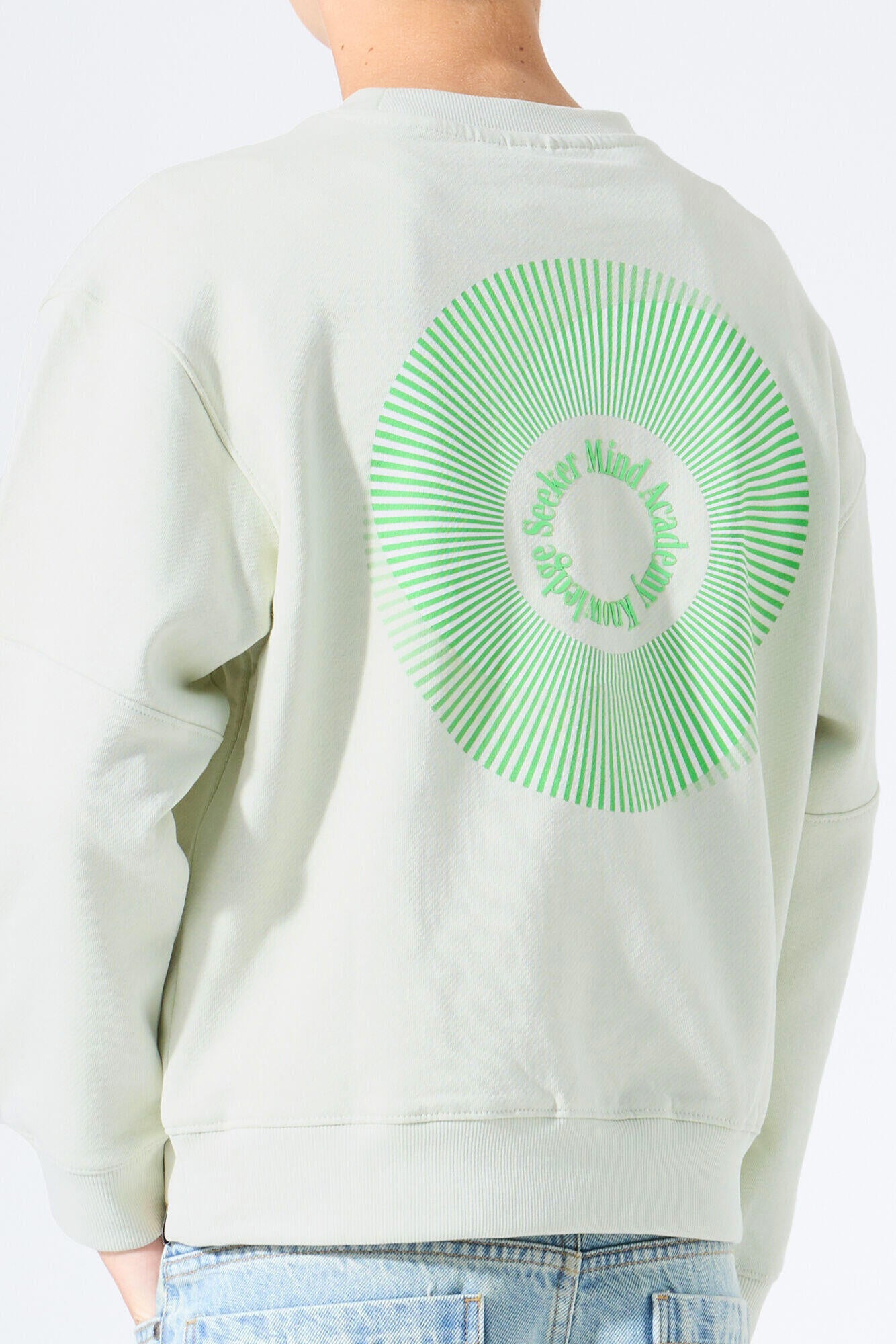 Sweatshirt aus Baumwolle - 6727-milky green - Grün