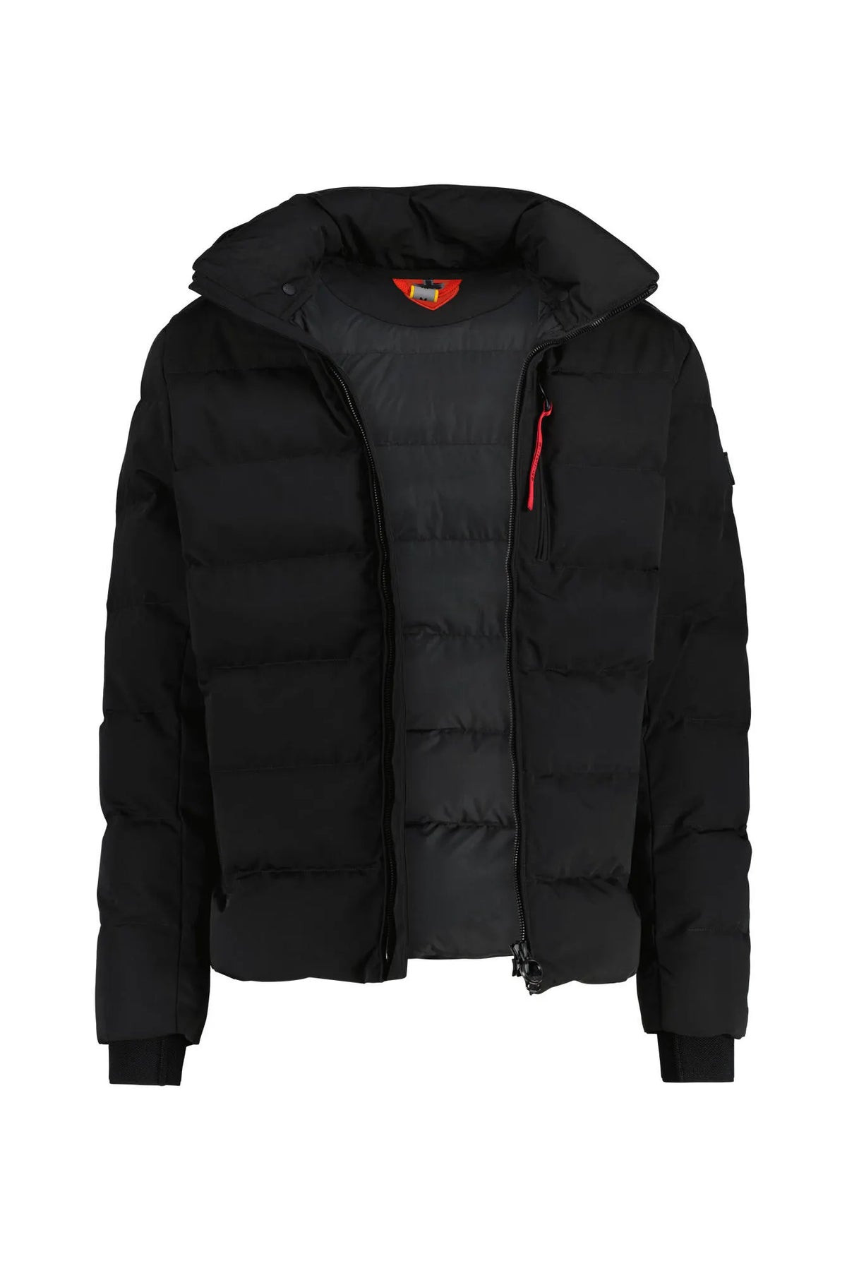 Winterjacke BLACKBIRD SHORT