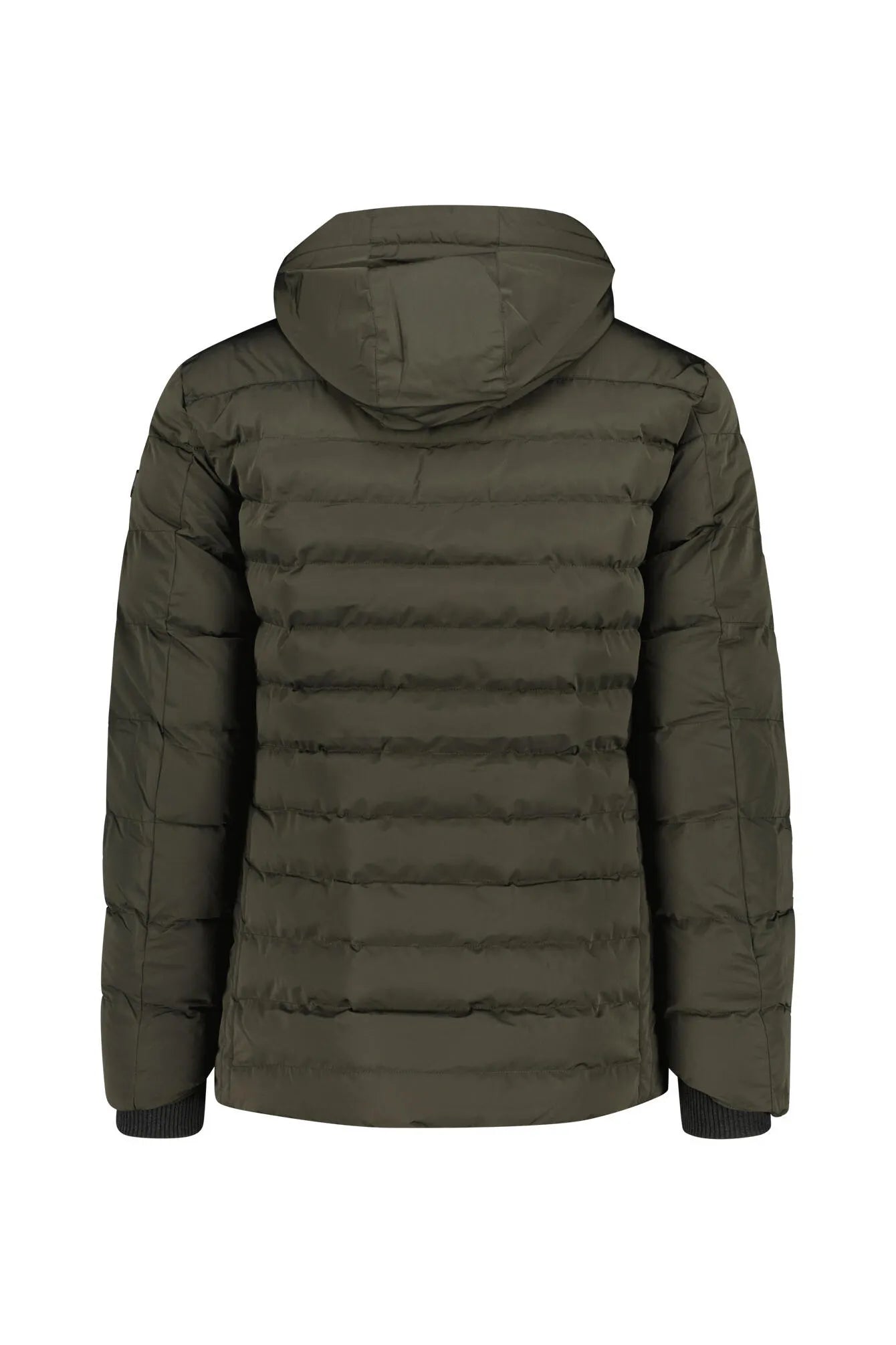 Steppjacke CAMENERE MEN