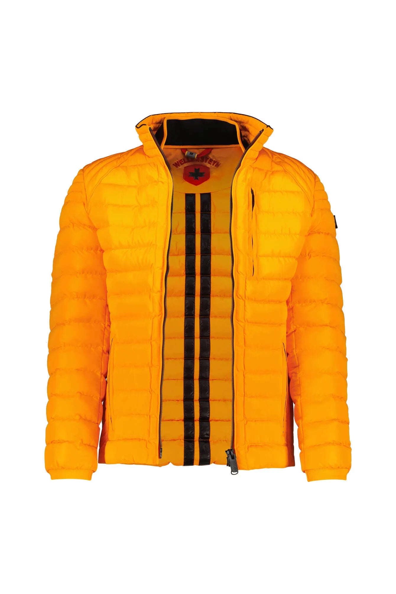 Steppjacke MOLECULE MEN SPORT