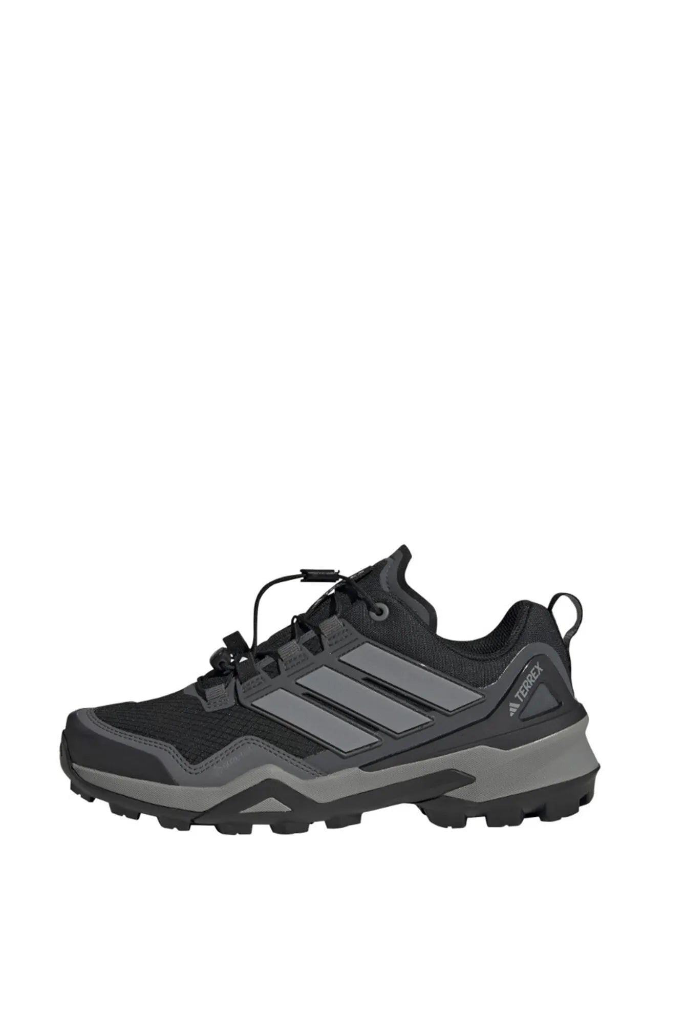 Wanderschuhe TERREX SKYCHASER GTX
