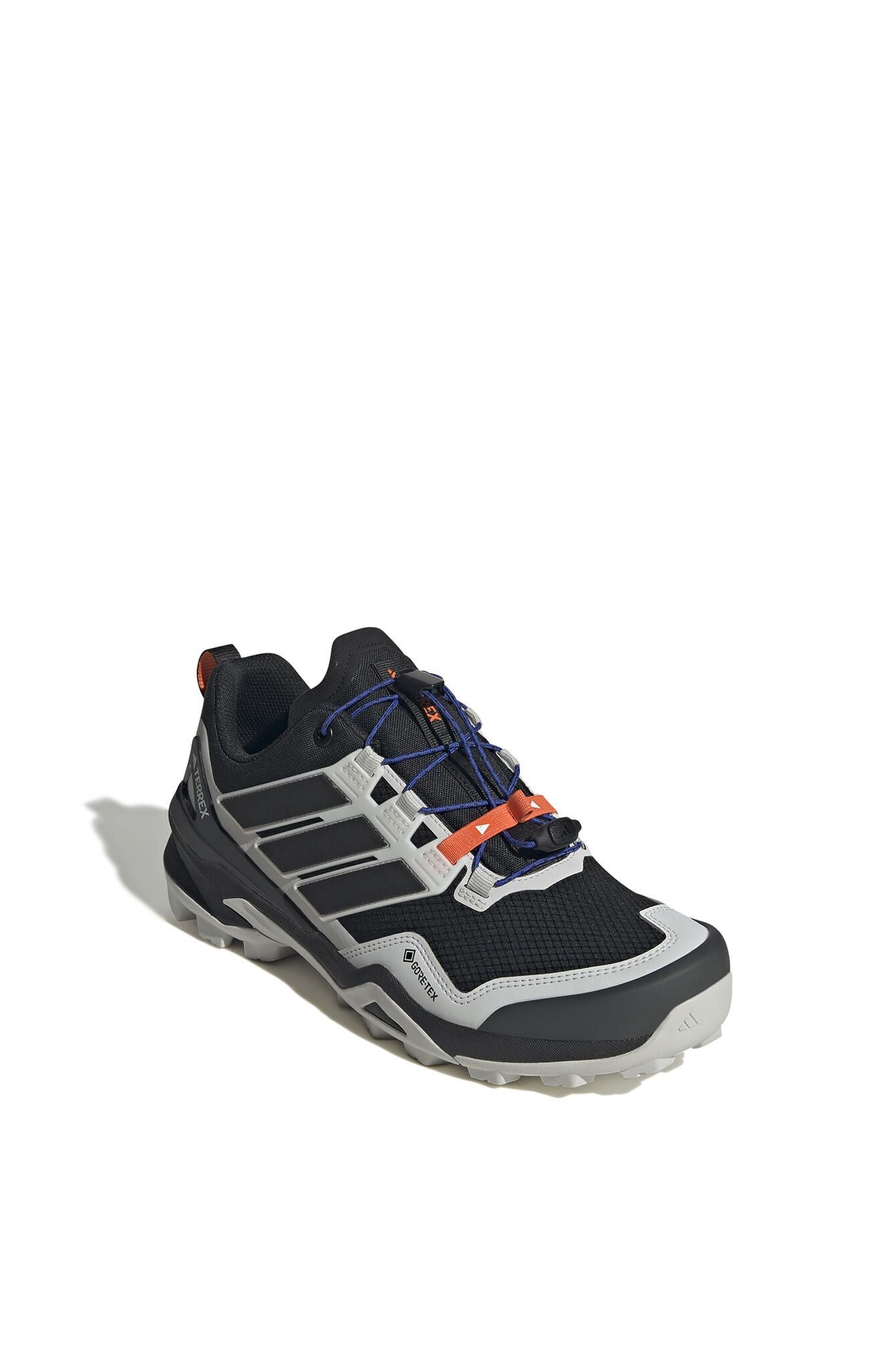 Wanderschuhe TERREX SKYCHASER GTX