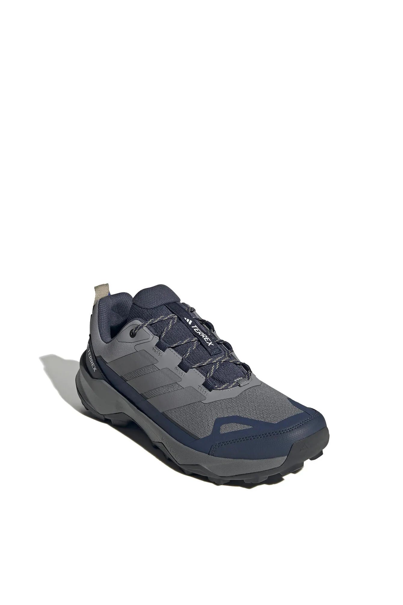 Wanderschuhe TERREX SKYCHASER AX5