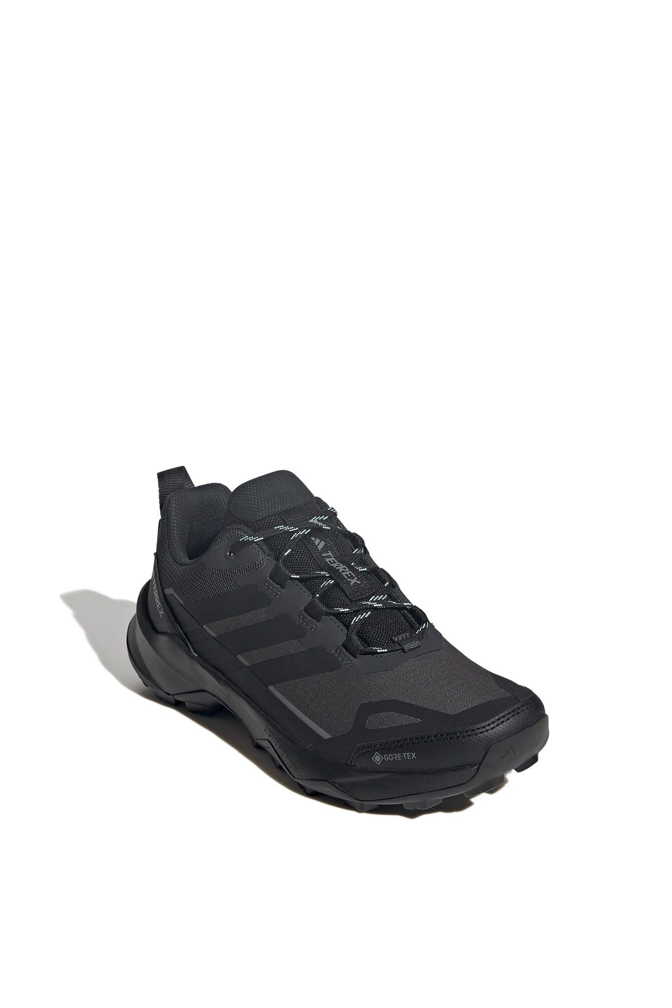 Wanderschuhe TERREX SKYCHASER AX5 GTX