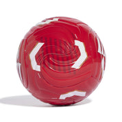 Heim-Miniball FC BAYERN MÜNCHEN