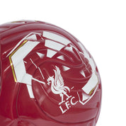 Fußball LFC MINI HOME