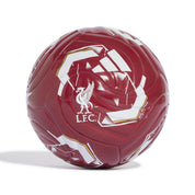 Fußball LFC MINI HOME
