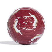 Fußball LFC MINI HOME
