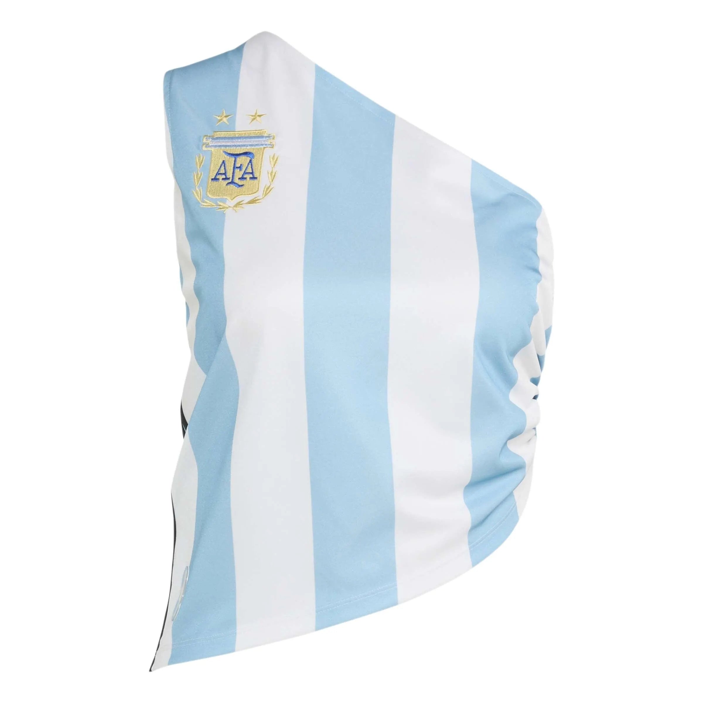 ARGENTINIEN Reconstructed Bringback Trikot