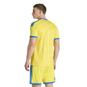 Heimtrikot UKRAINE 26