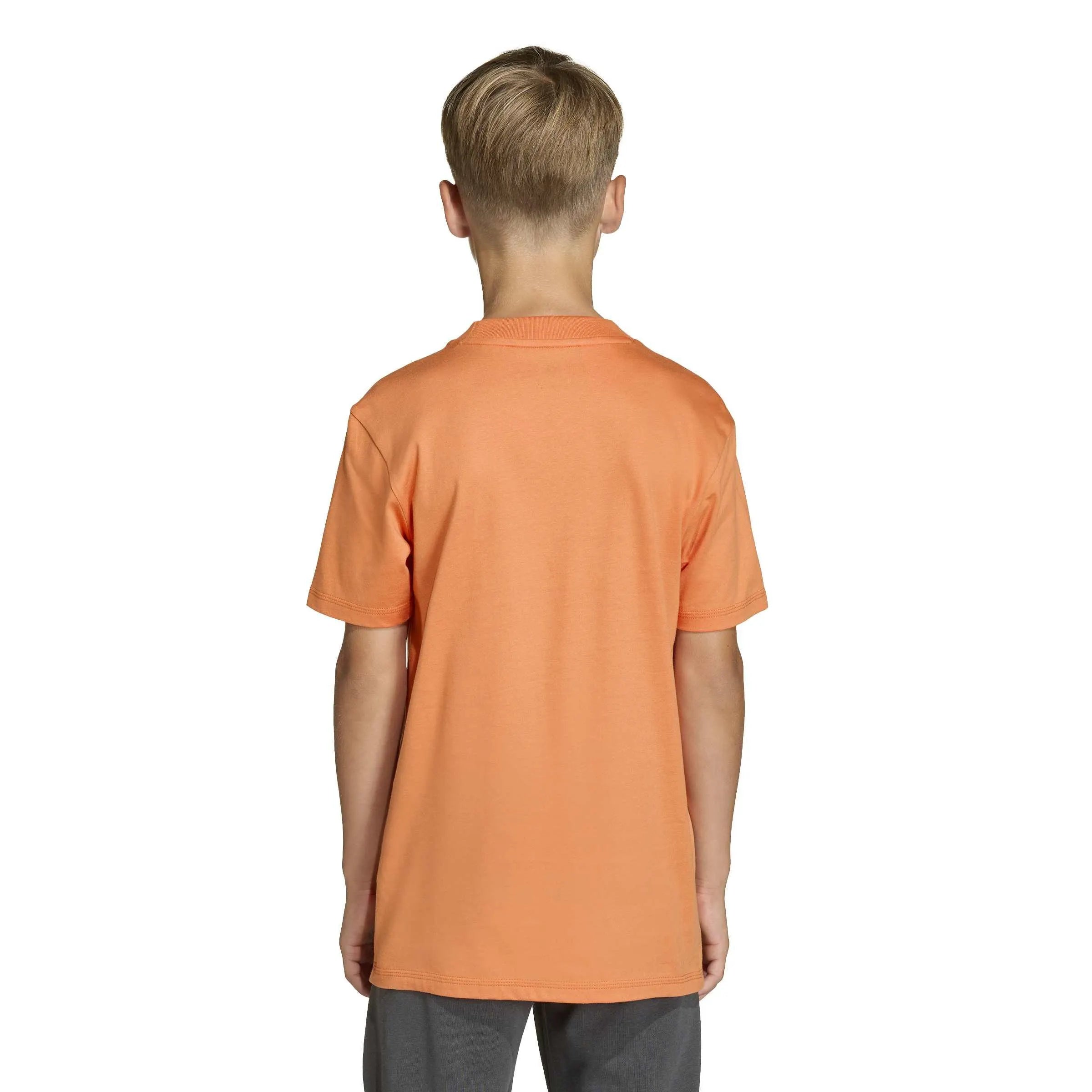 T-Shirt Regular Fit aus Baumwolle