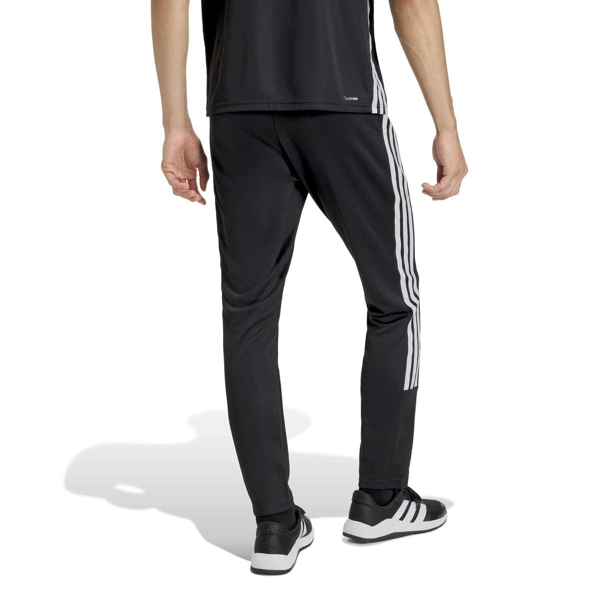 Jogginghose ALLSET Regular Fit