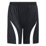 Funktionsshorts TEAMGEIST Regular Fit