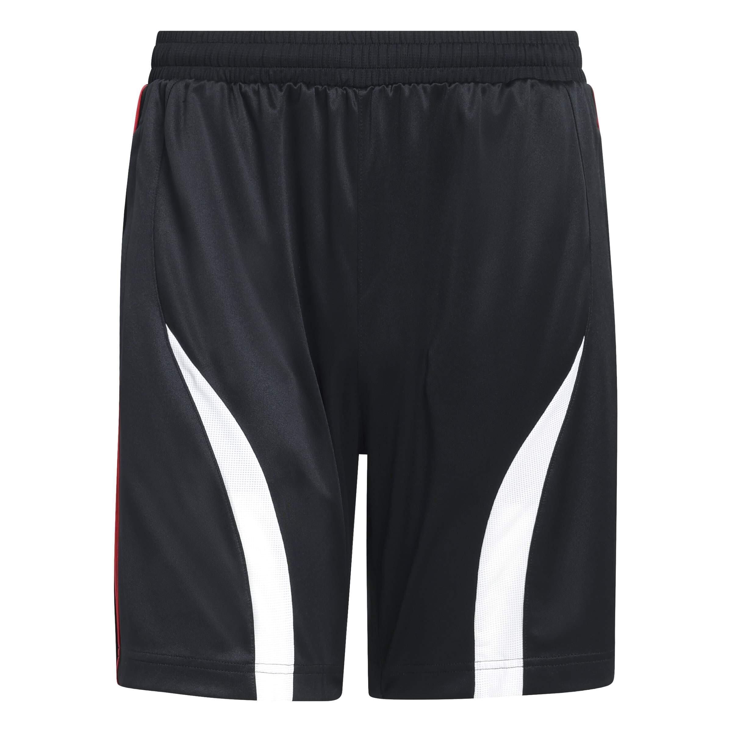 Funktionsshorts TEAMGEIST Regular Fit