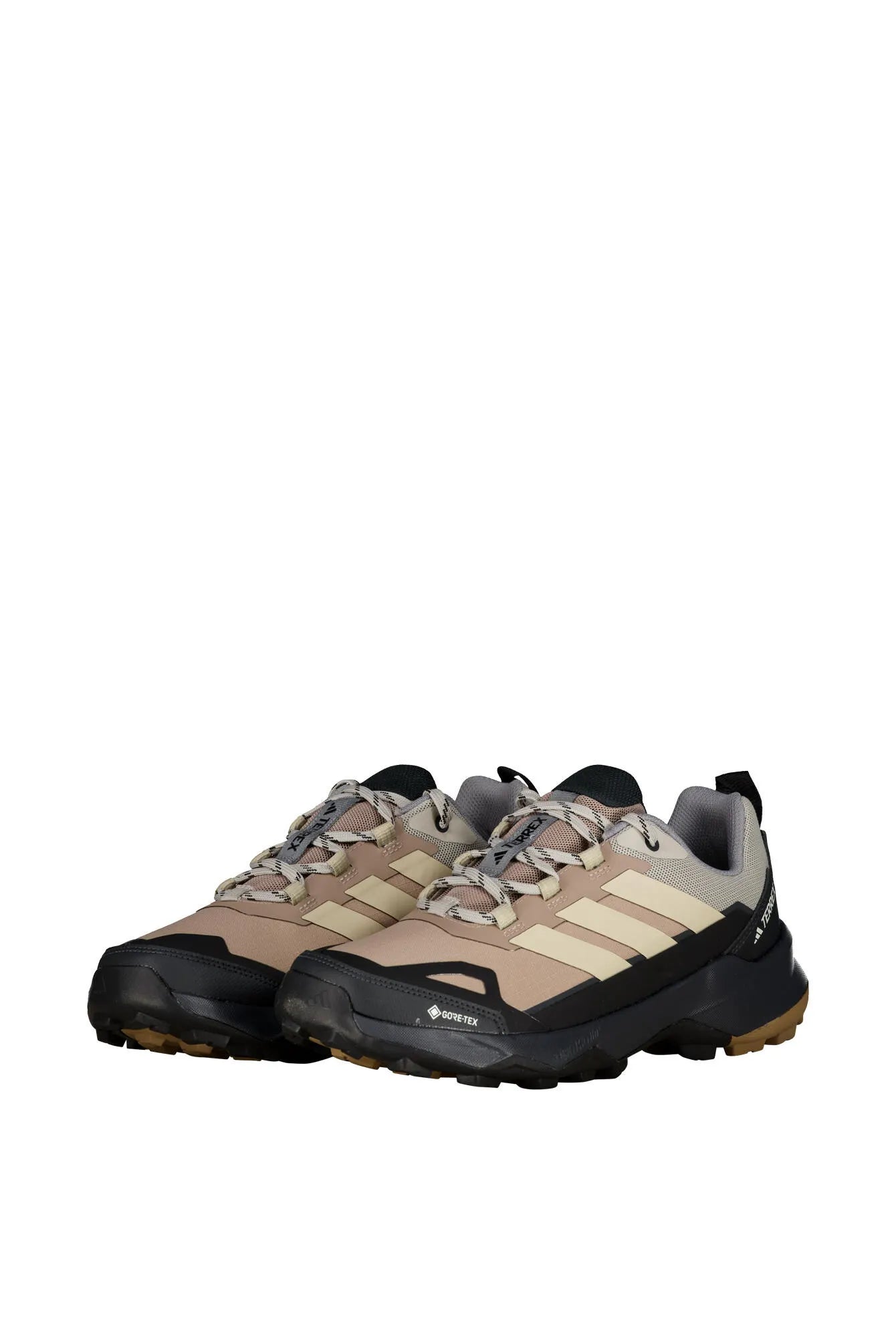 Wanderschuhe TERREX SKYCHASER AX5 GTX
