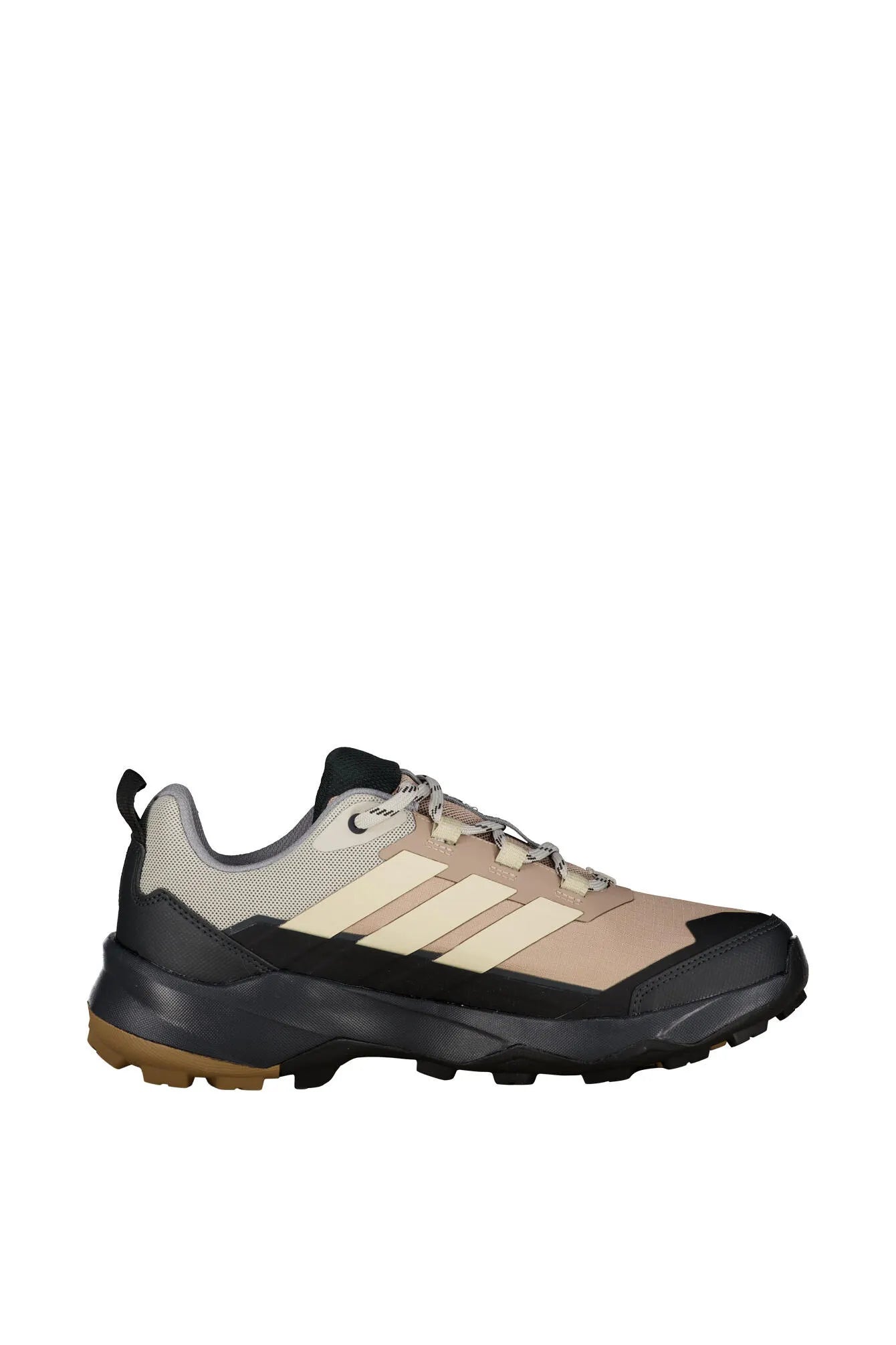 Wanderschuhe TERREX SKYCHASER AX5 GTX