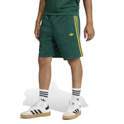Funktionsshorts FIREBIRD Regular Fit