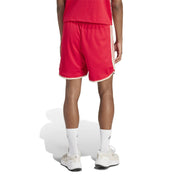 Funktionsshorts mit Mesh