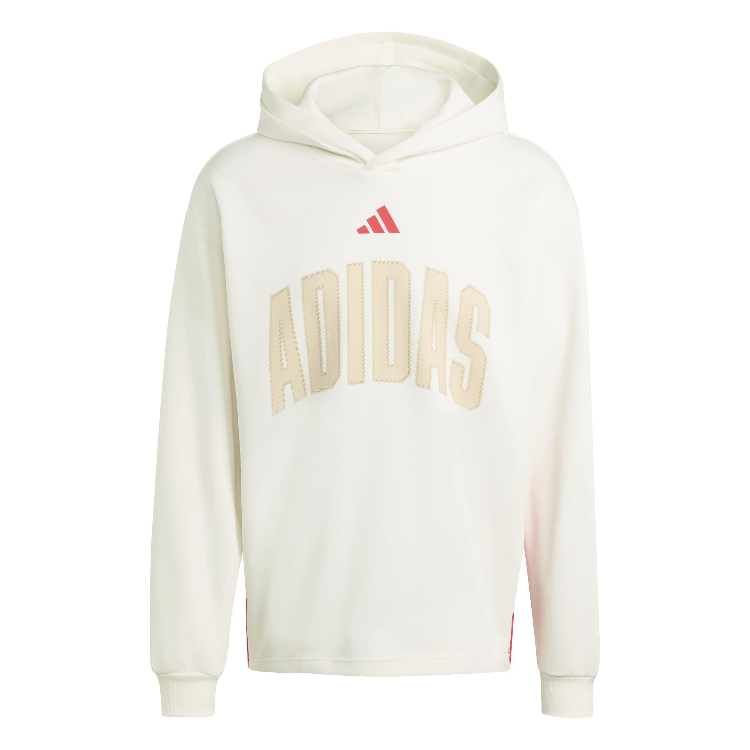 Sweater mit Kapuze