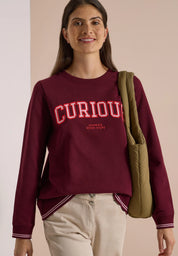 Sweatshirt mit Stickerei