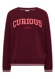 Sweatshirt mit Stickerei