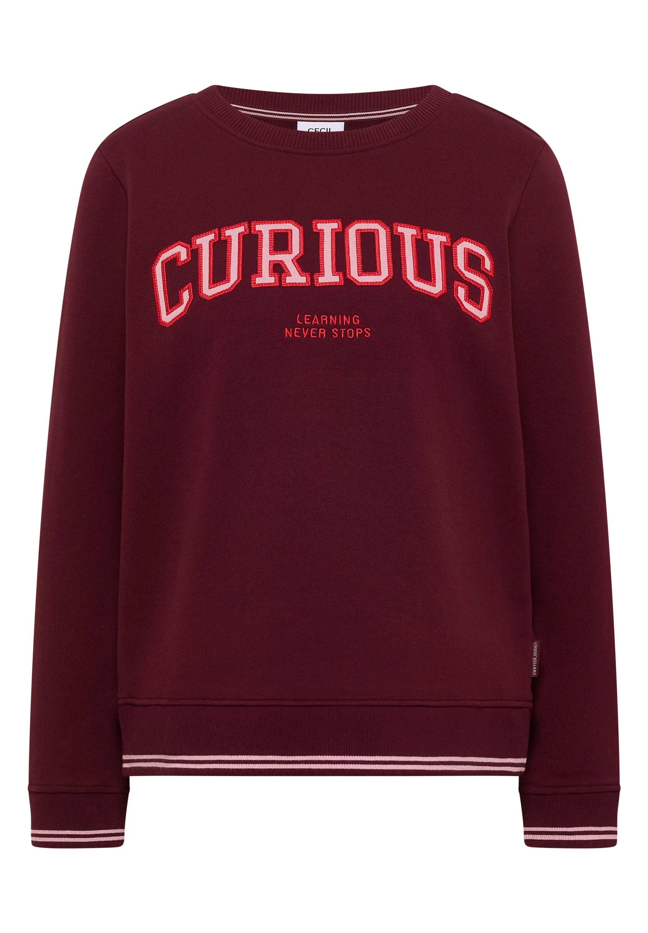 Sweatshirt mit Stickerei